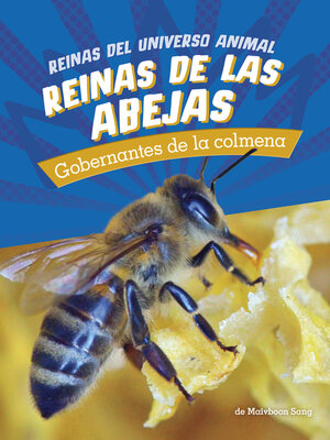 cover image of Reinas de las abejas